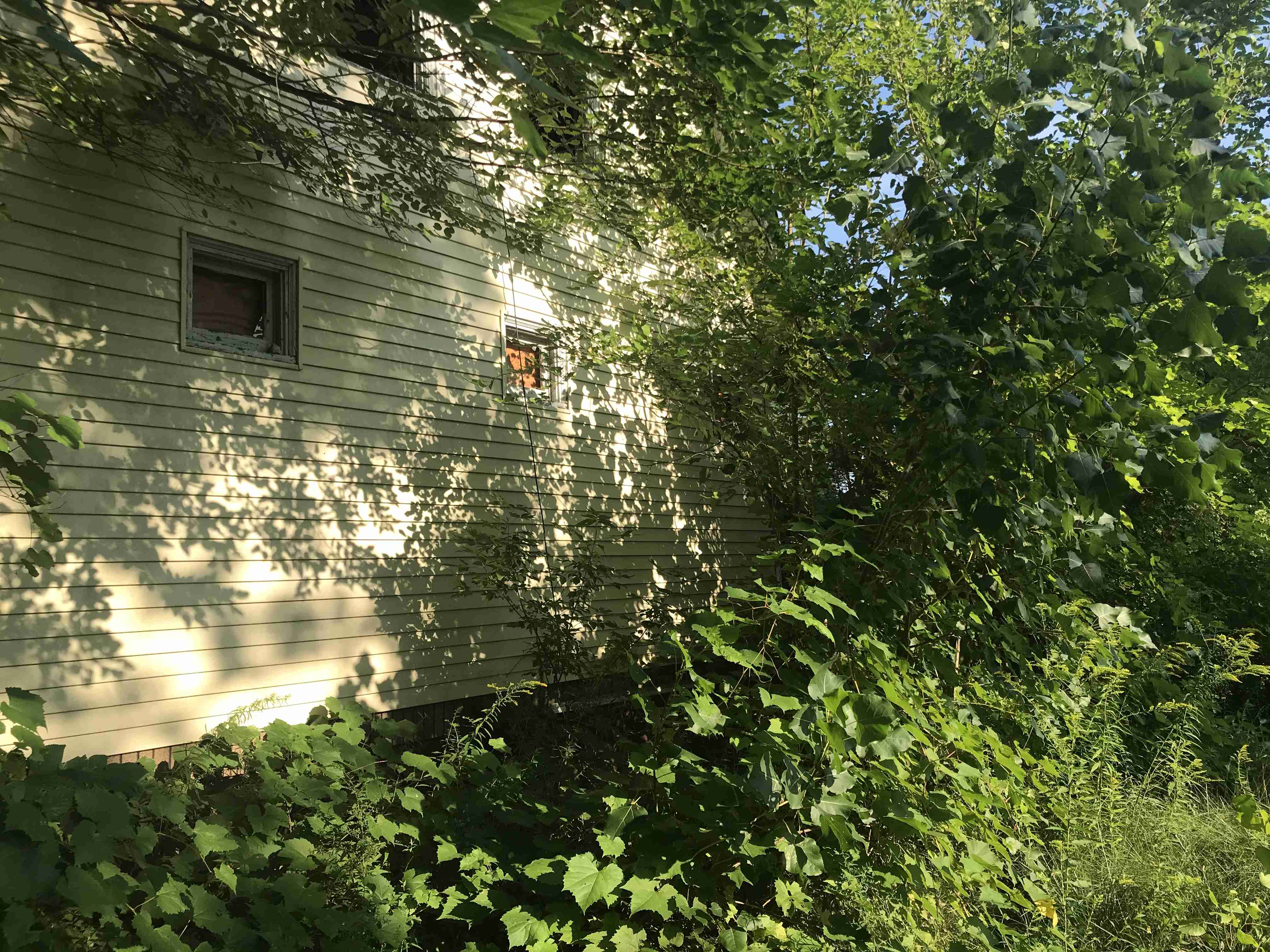 Photo Aug 24, 9 16 37 AM.jpg